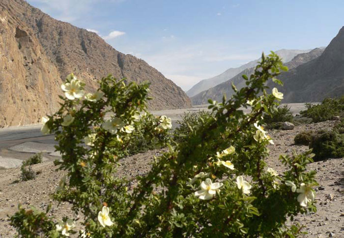 Annapurna Circuit Trekking