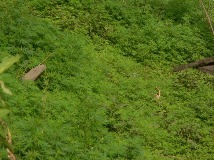 Annapurna Circuit Trekking