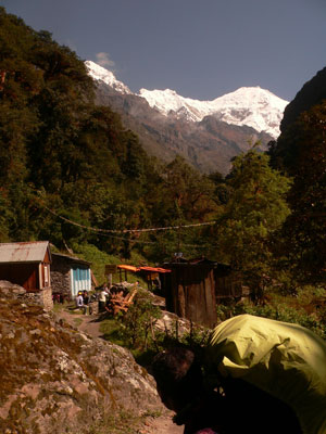 TREK REPORT LANGTANG 2011