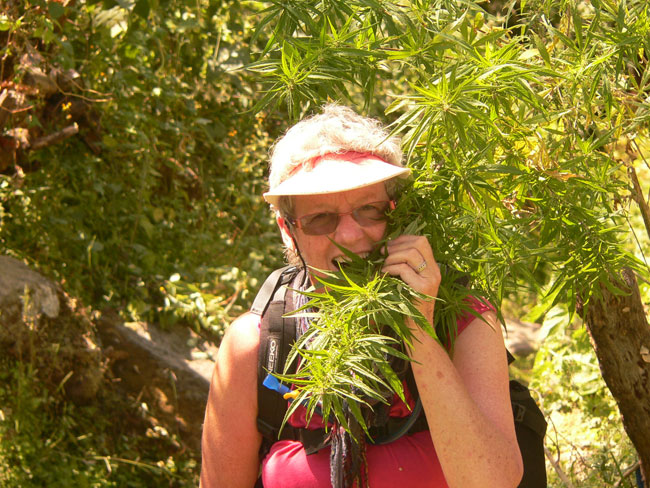 TREK REPORT LANGTANG 2011