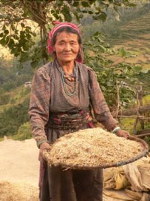 TREK REPORT LANGTANG 2011