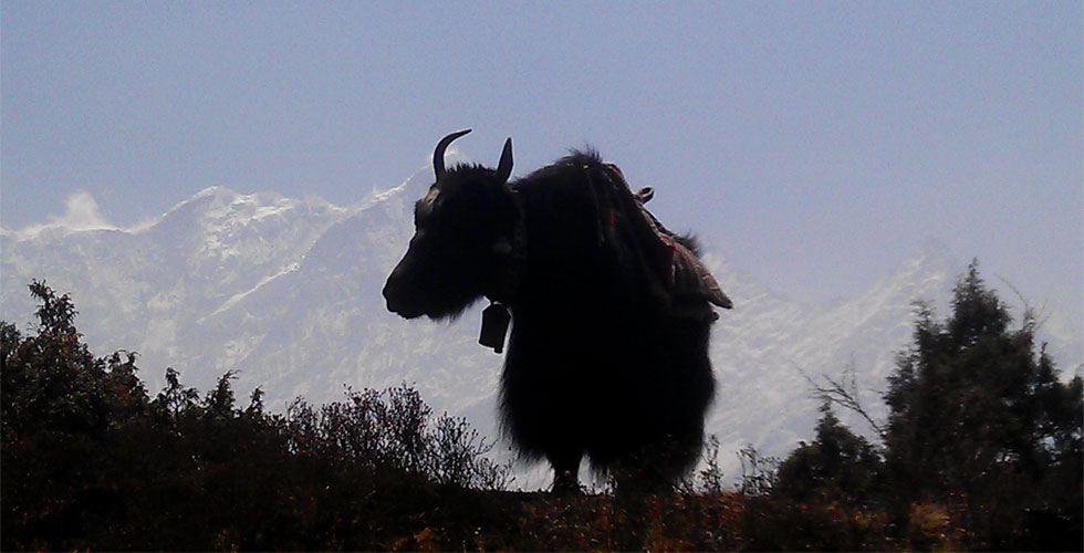 Gokyo Trek