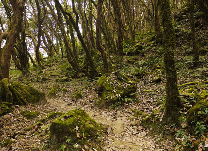 Annapurna Circuit Trek