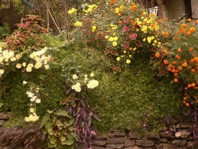 TREK REPORT - MUKTINATH