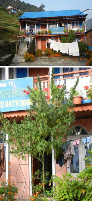 TREK REPORT - MUKTINATH