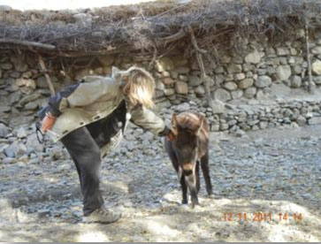 TREK REPORT - MUKTINATH