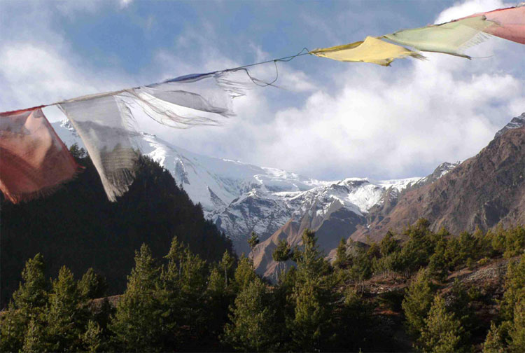 Anapurnas  near Manang